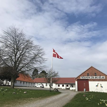Tranum Lys og Glas Brovst Eksteriør bilde