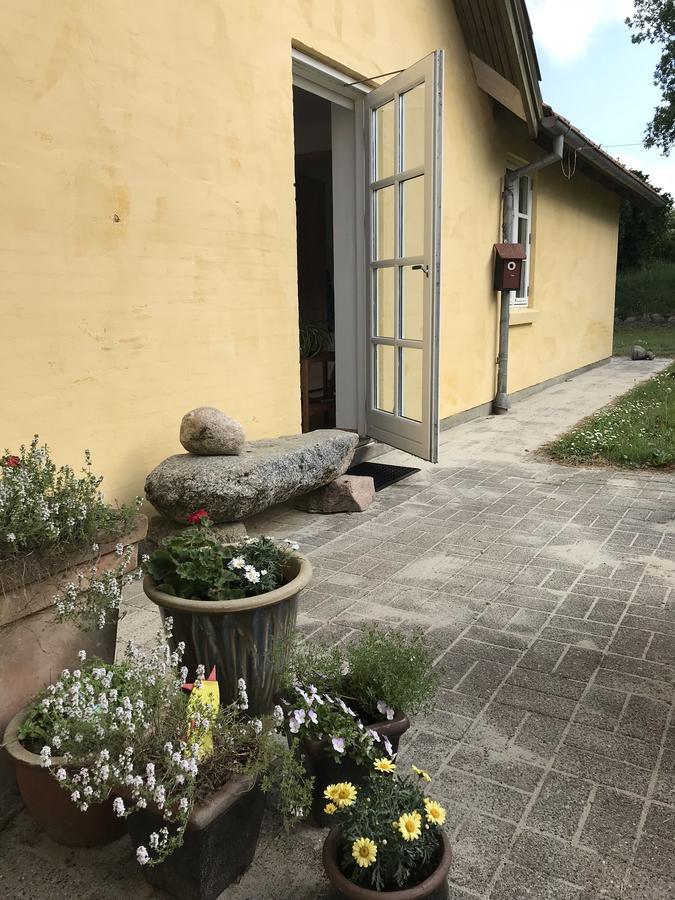 Tranum Lys og Glas Brovst Eksteriør bilde